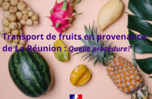 Transport de fruits en provenance de La Réunion : procédure de délivrance du certificat phytosanitaire